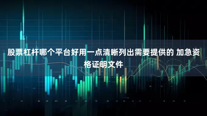 股票杠杆哪个平台好用一点清晰列出需要提供的 加急资格证明文件