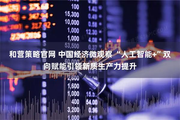 和营策略官网 中国经济微观察 “人工智能+”双向赋能引领新质生产力提升