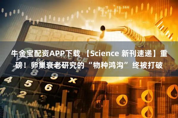 牛金宝配资APP下载 【Science 新刊速递】重磅！卵巢衰老研究的 “物种鸿沟” 终被打破